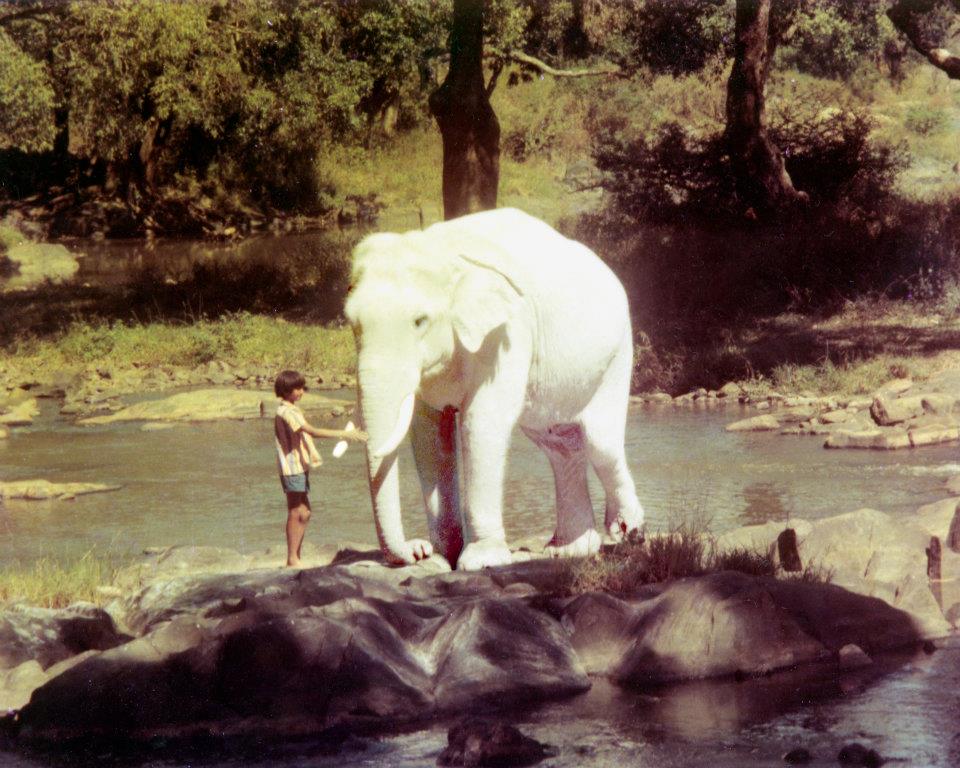 Ashwani & Airavat in Safed Haathi [The White Elephant]
