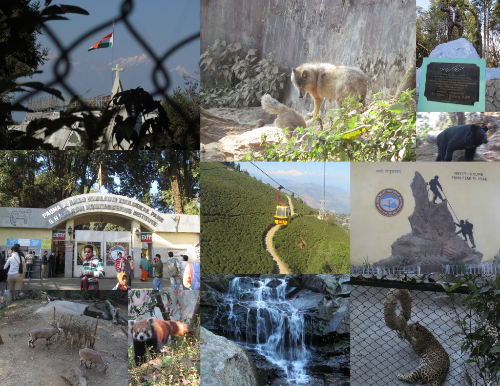Trip to Darjeeling