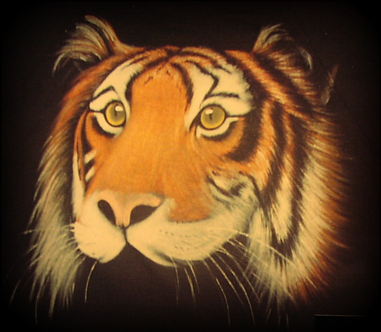 The tiger had red eyes and they were burning like torches.