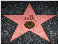 Fame
