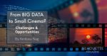From BIG DATA to Small Cinema? Challenges & Opportunities of Cinema in New Media