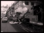 Toy Train of Darjeeling