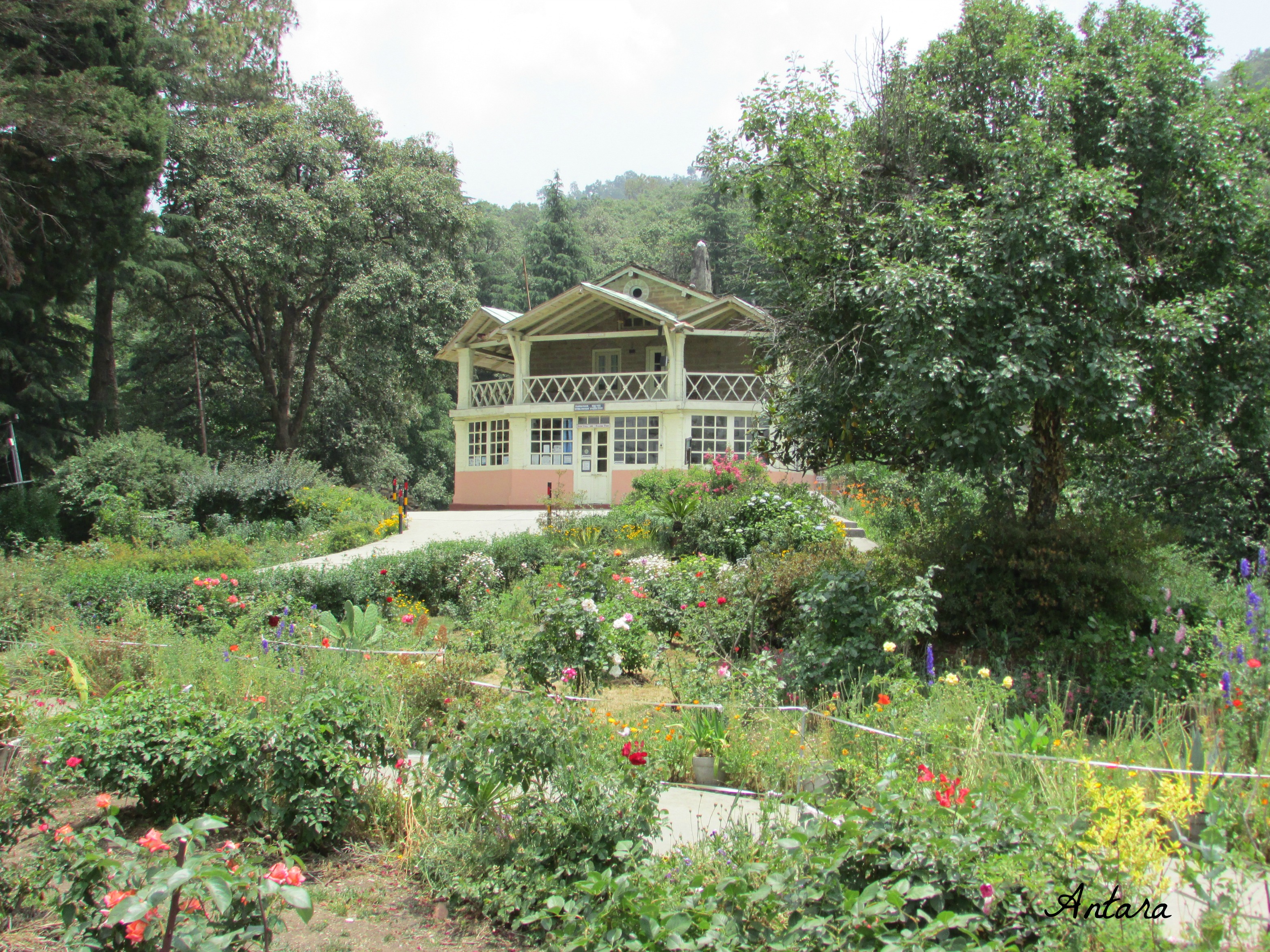 Advaita Ashram in Mayavati