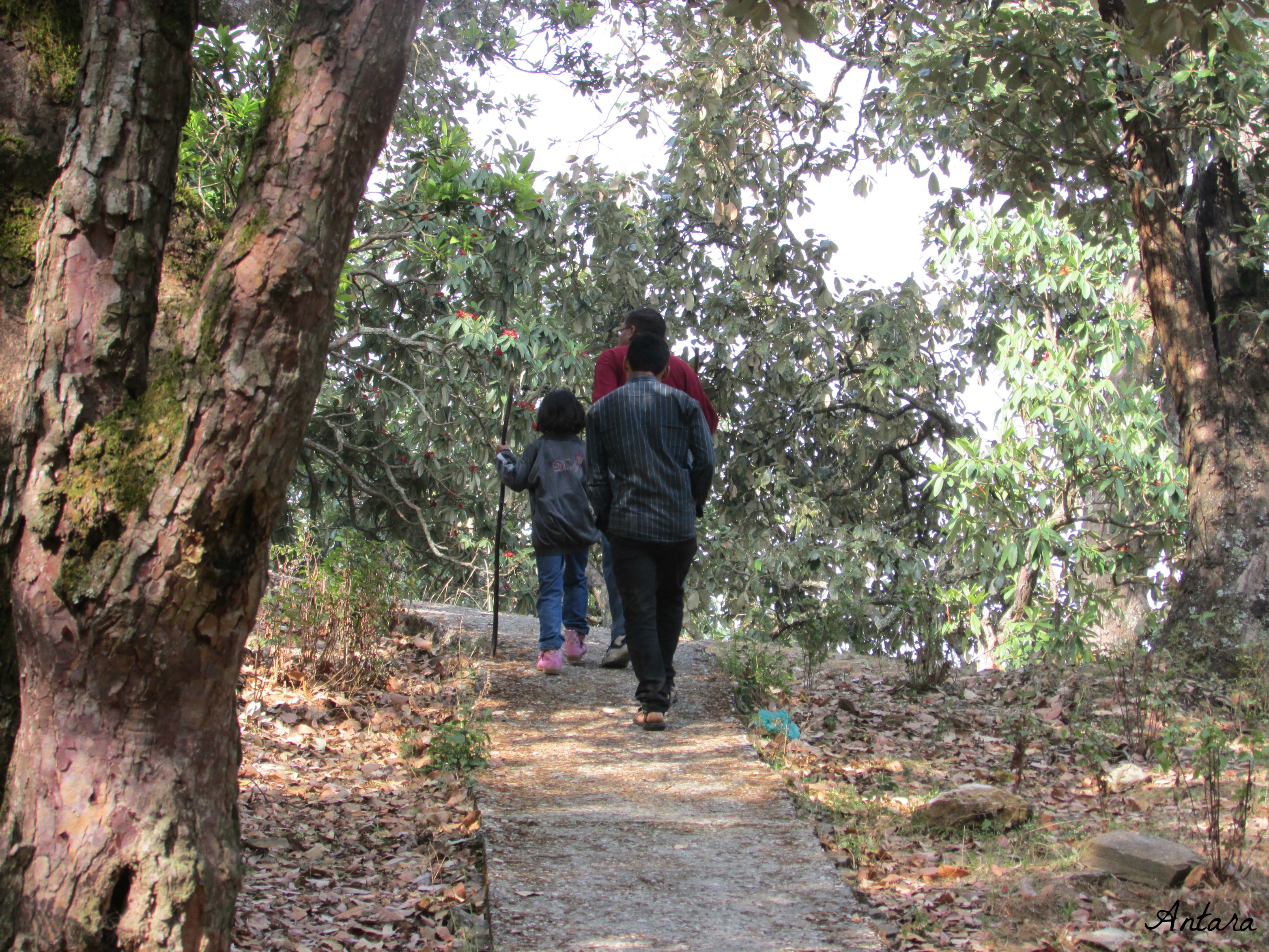 Trekking in Mayavati