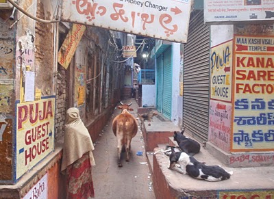 Small Town Bazaar