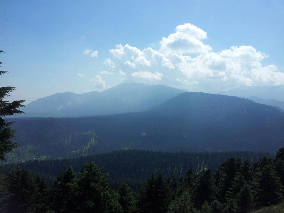 Nature photos