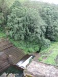 Mattupetty Dam, Munnar, Kerala