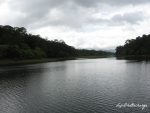 Periyar Lake and Reservoir, Thekkady, Kerala