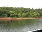 Periyar Lake, Thekkady, Kerala