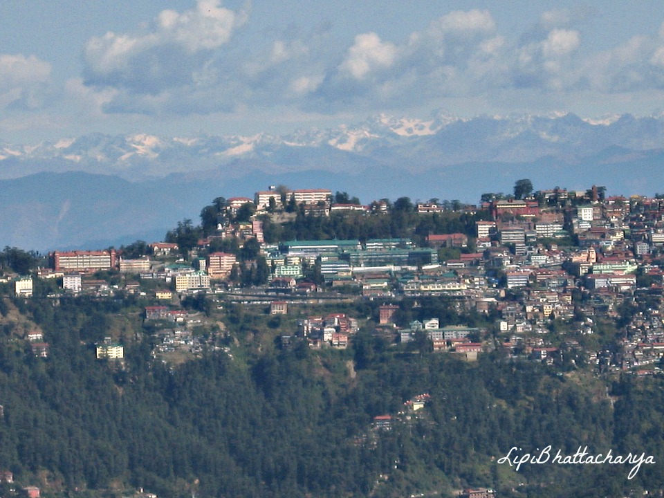 Shoghi, Shimla