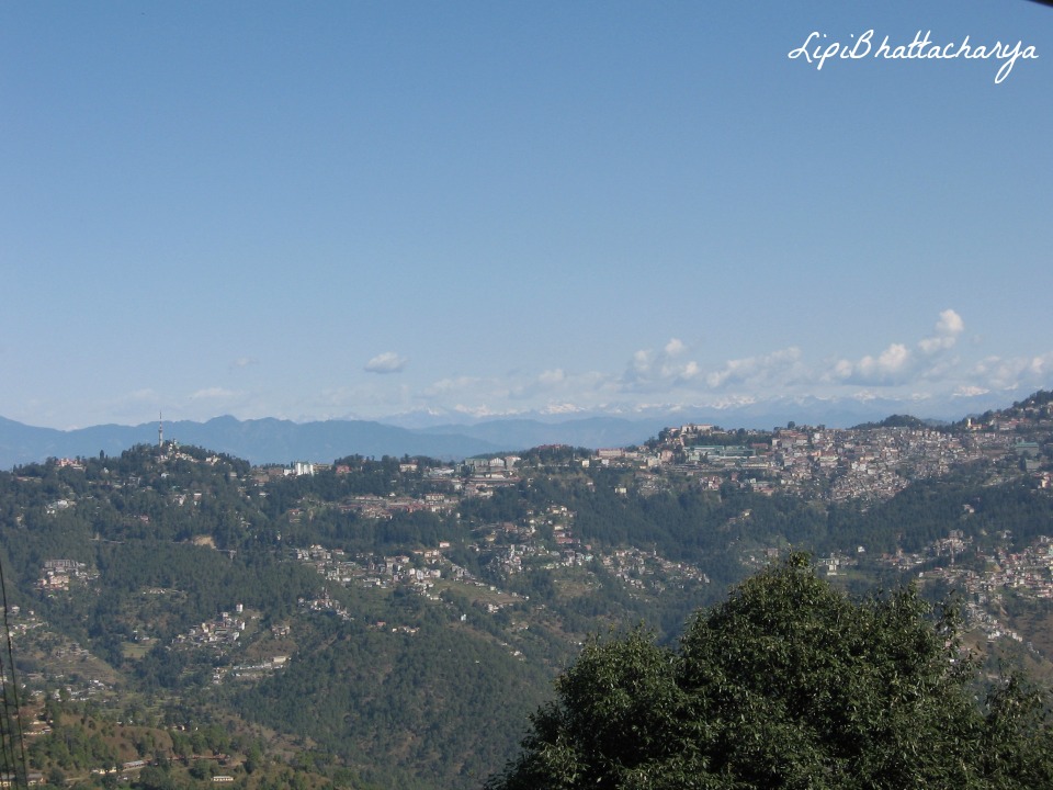 Shoghi, Shimla