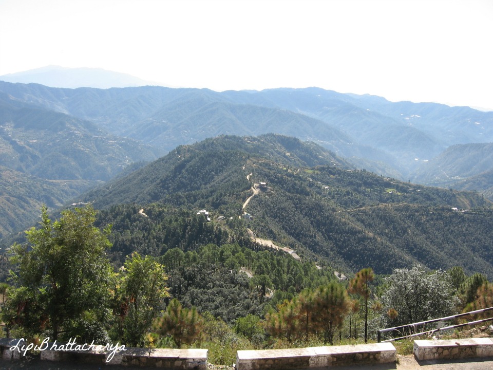 Shoghi, Shimla
