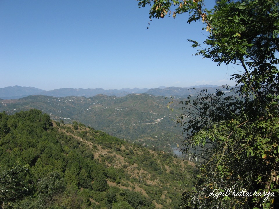 Shoghi, Shimla