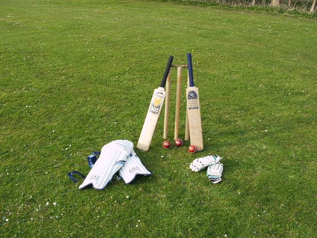 Cricket