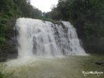 Abbey, a scenic waterfall in Coorg.  The waterfall is located between private coffee plantations with stocky coffee bushes and spice estates with trees entwined with pepper vines. The water from the falls flows into river Kaveri.