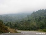 On the way to coorg