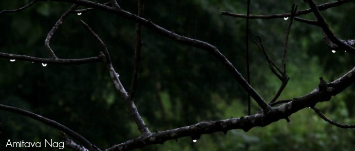 photography as an art