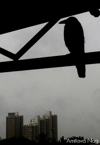 photography as an art