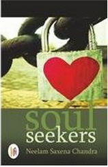Soul Seekers: Book Review