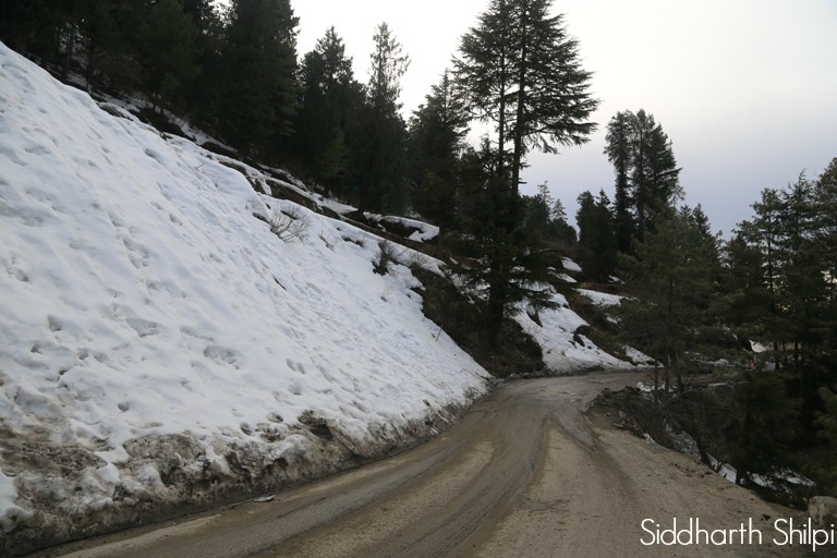 Shimla