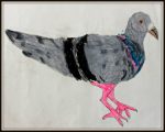 pigeon (art by kids)