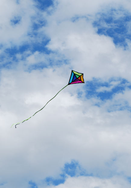 Kites