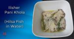 ilisher pani khola hilsa fish in water