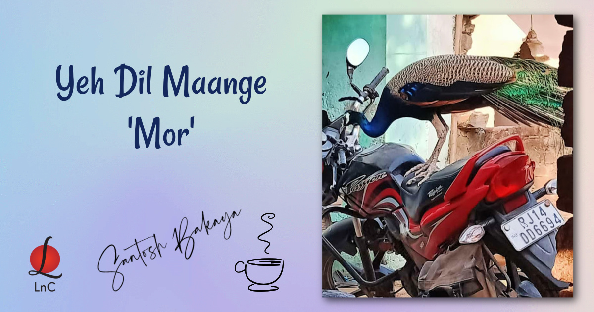 yeh dil maange 'mor'