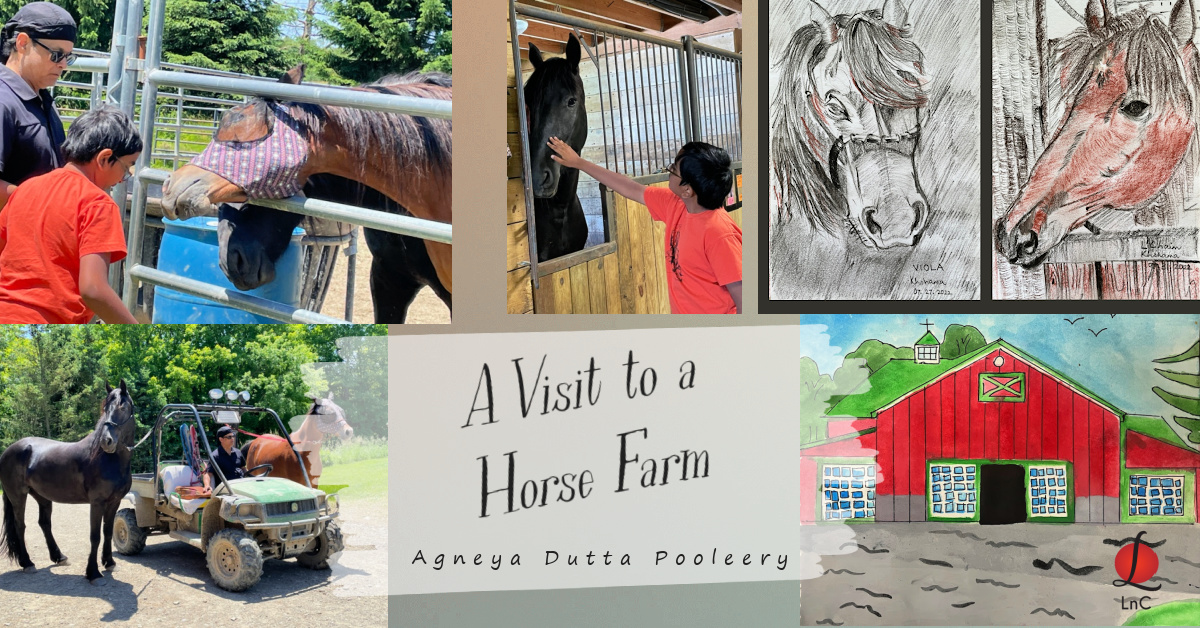 A Visit to a Horse Farm
