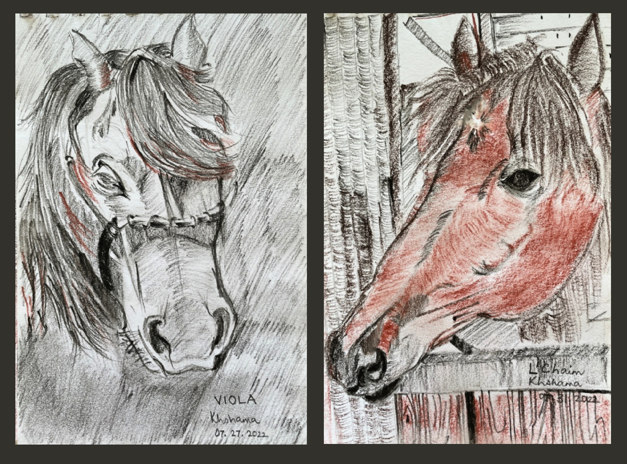 horses colored charcoal on paper