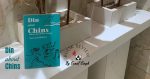 Din about Chins book review santosh bakaya