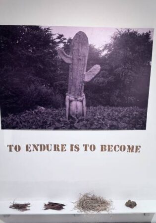 Conceptual artwork titled "To Endure Is To Become" displayed at Arthshila Patna